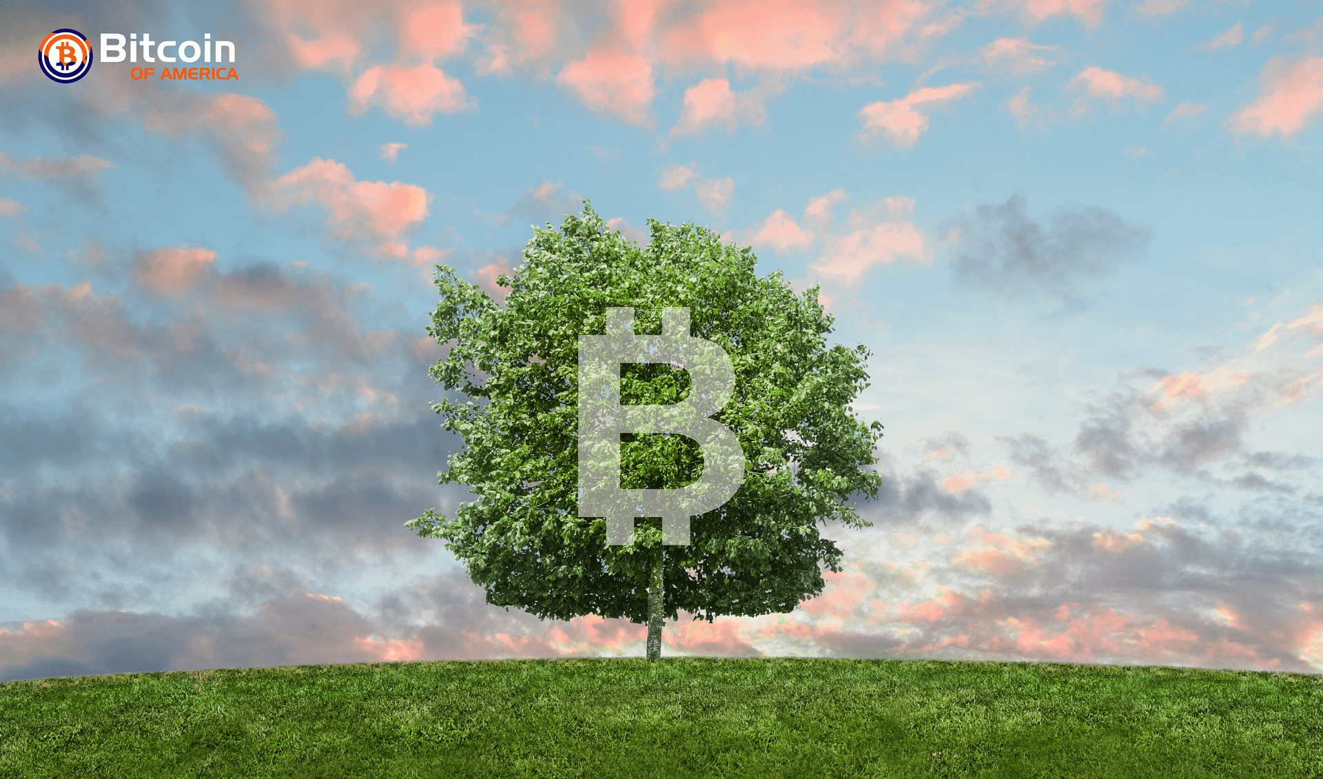 Bitcoin and the Environment